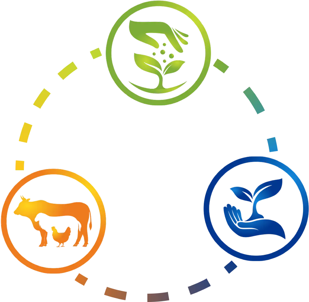 Illustration of sustainable agriculture cycle with icons of hand planting seeds, farm animals like cow goat and chicken, and hand nurturing a green plant representing organic farming and eco friendly food production